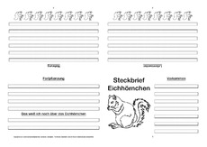 Eichhörnchen-Faltbuch-vierseitig-7.pdf